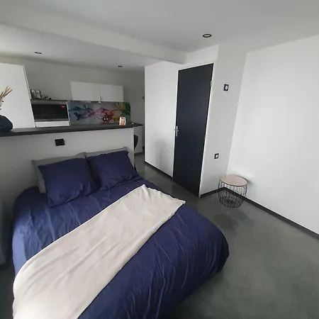 Apartment Bienvenue Dans Le Cobalt ! Cholonge